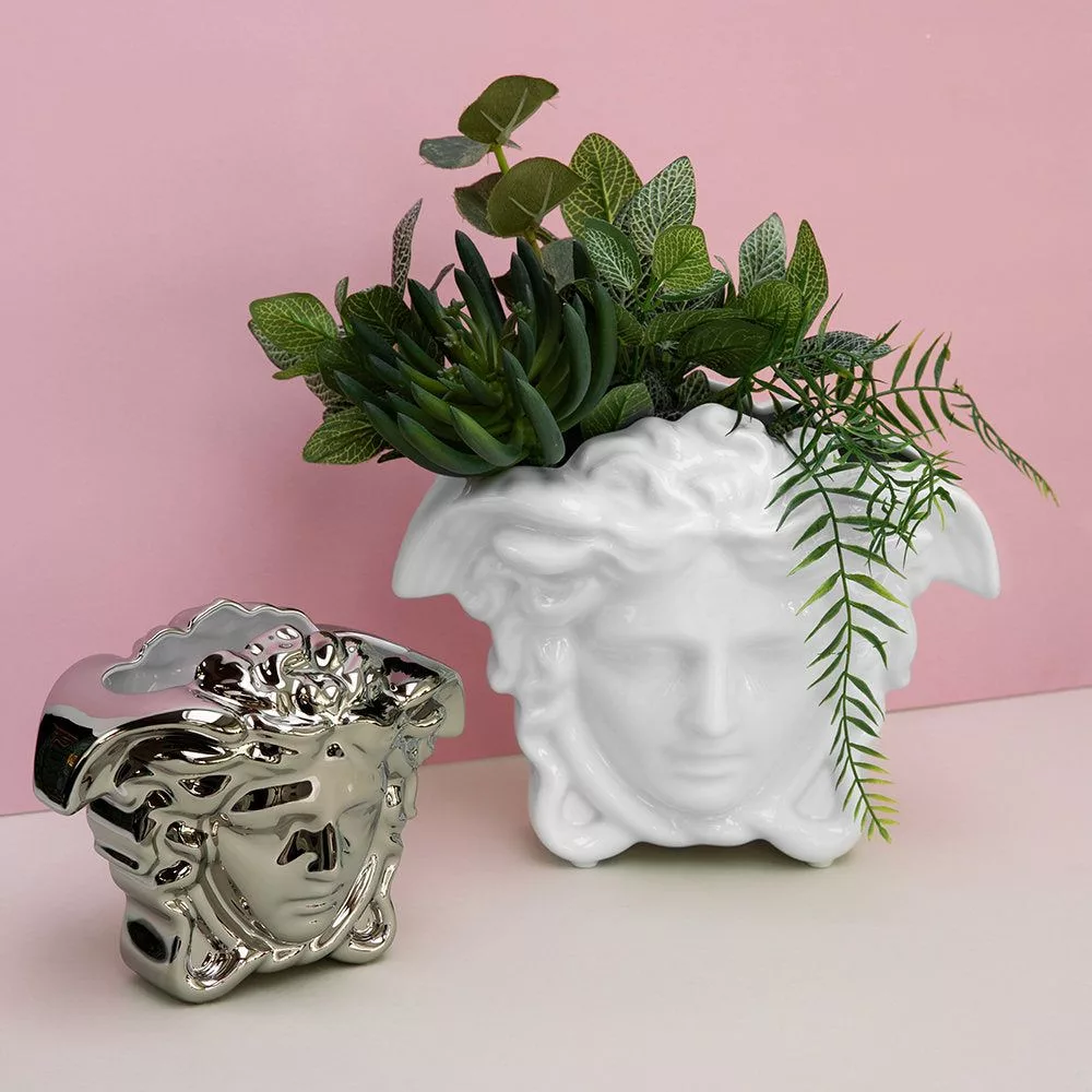 Medusa grande