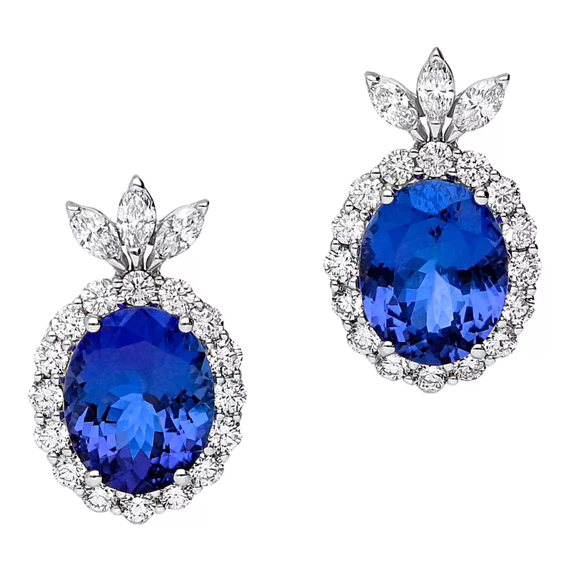 Leo Pizzo 27864BTZ
