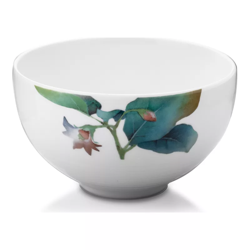 Noritake 1620_Q006WE17 Piyalələr