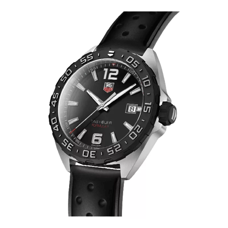 Tag heuer WAZ1110FT8023 Watch