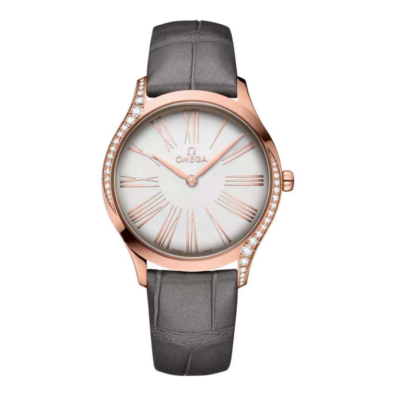 Omega 42858366002001 Часы