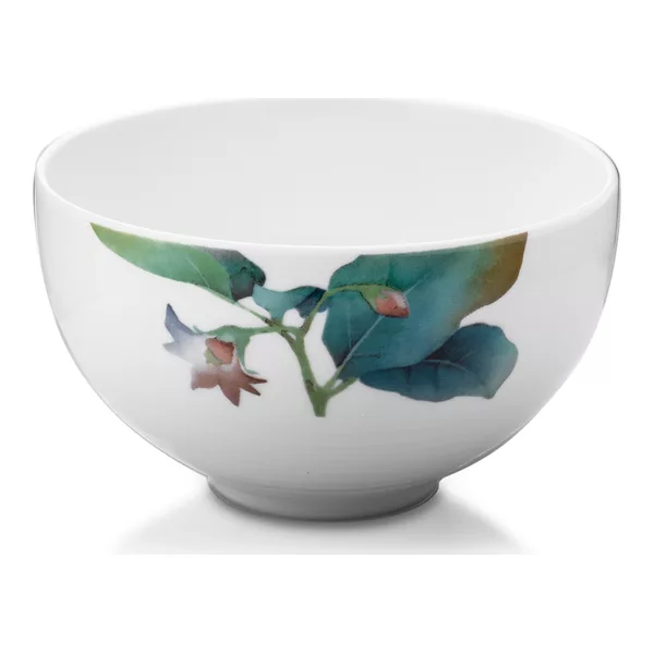 Noritake 1620_Q006WE17 Piyalələr