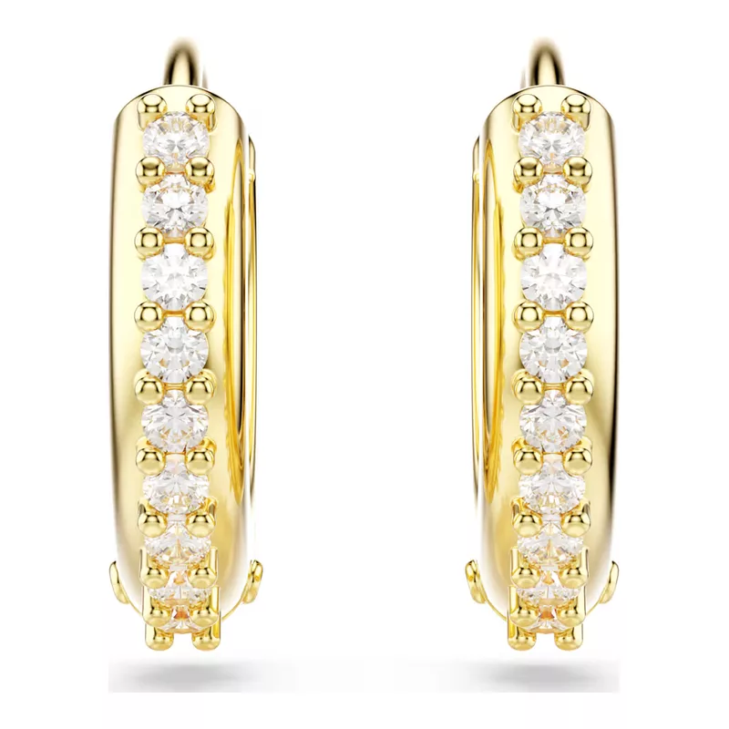 Swarovski 5697228 Earrings