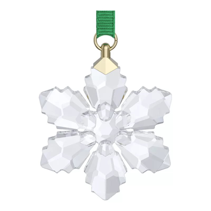 Swarovski 5731715