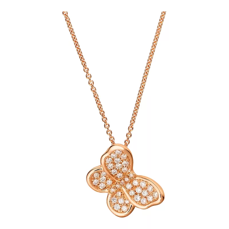 Leo pizzo 26225D2