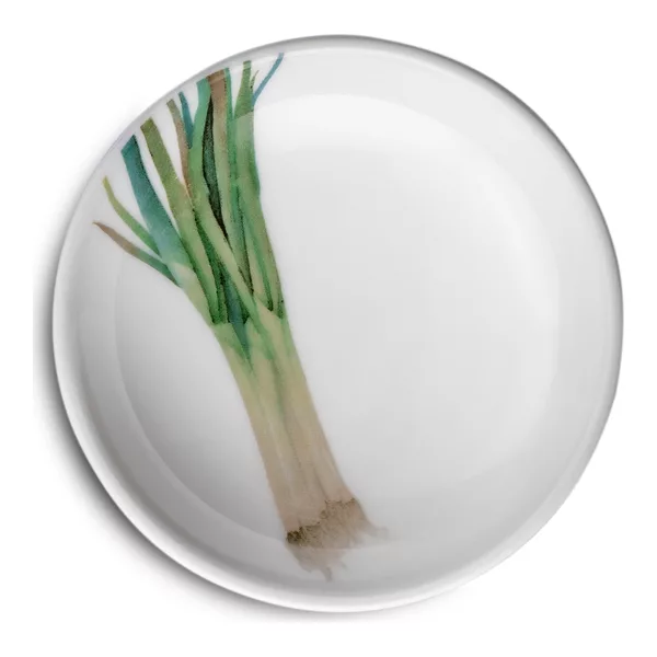 Noritake 1620_Q006WL17 Kasa