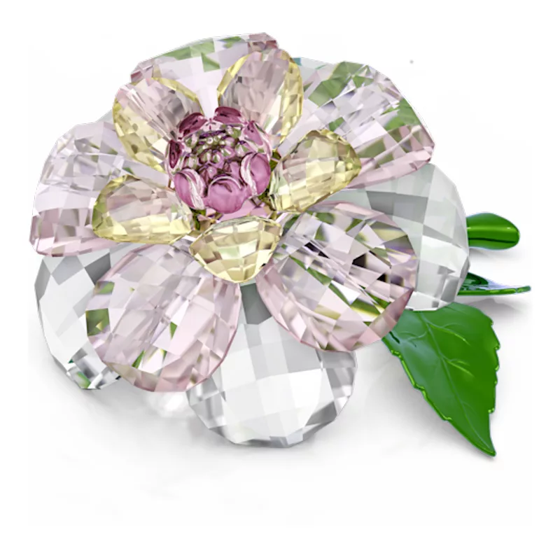 Swarovski 5721538