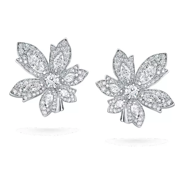 David morris PM0901101 Earrings