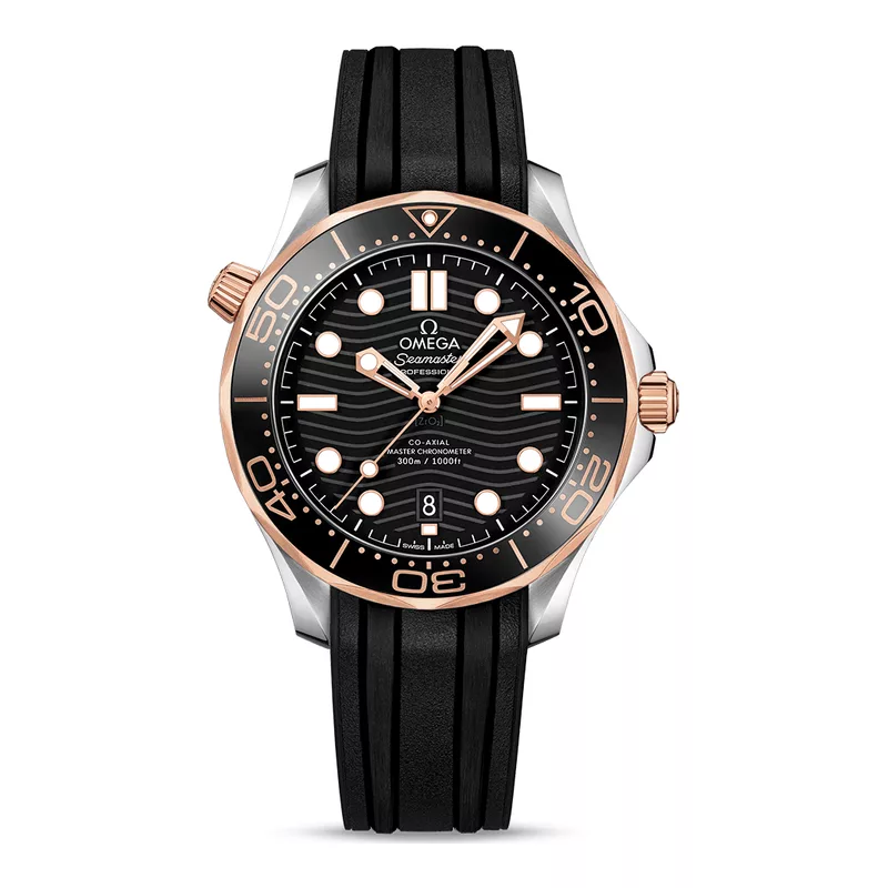 Omega 21022422001002 Watch