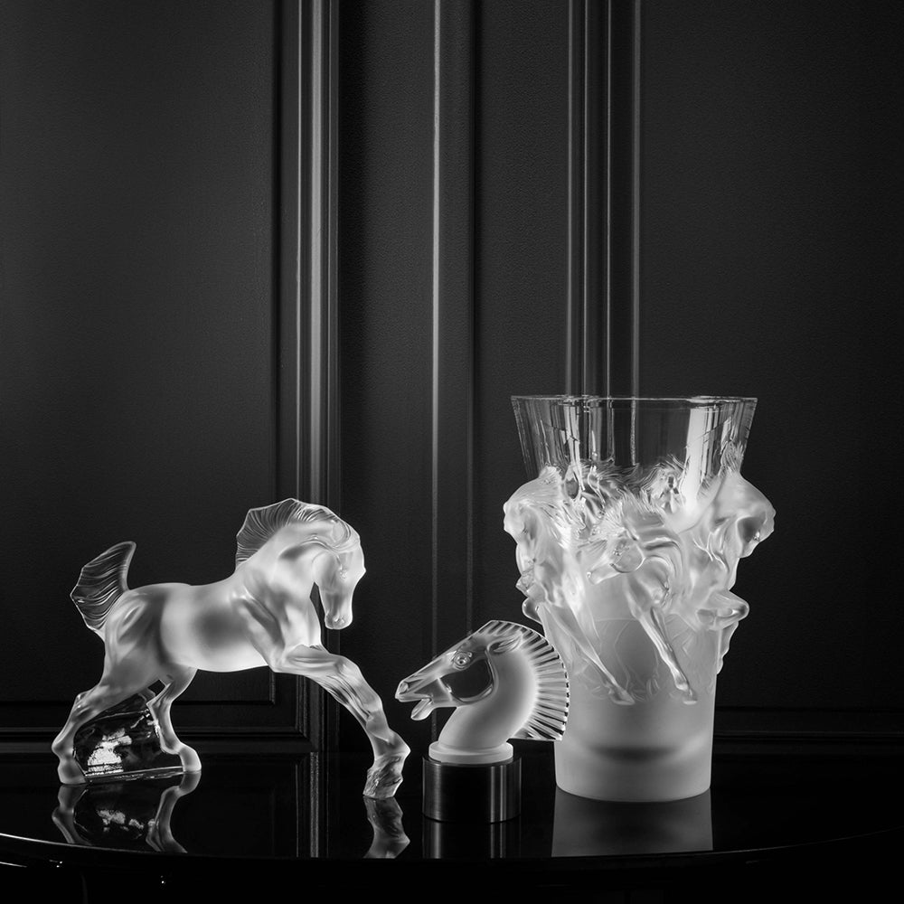 Equus