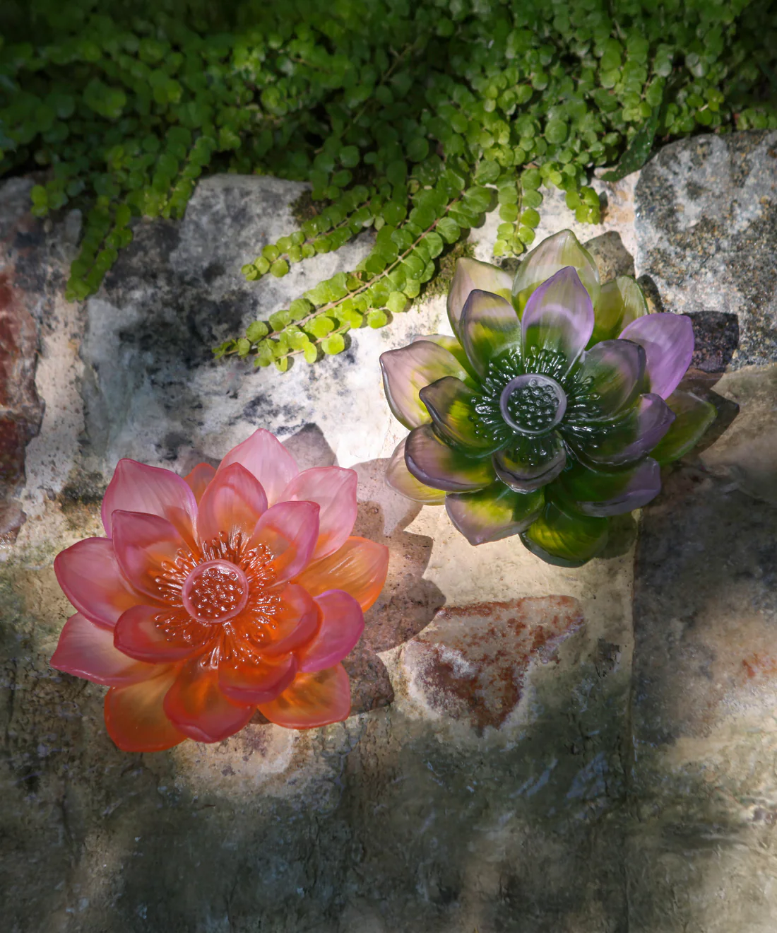 Jardin De Lotus