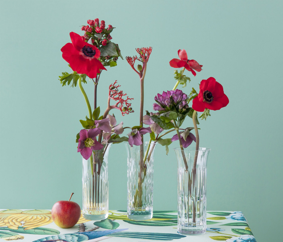 Flora
