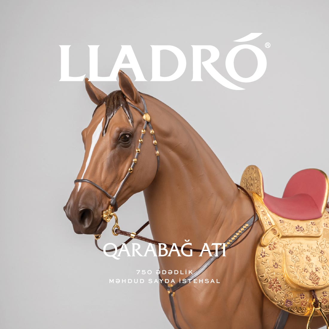 Karabakh horse