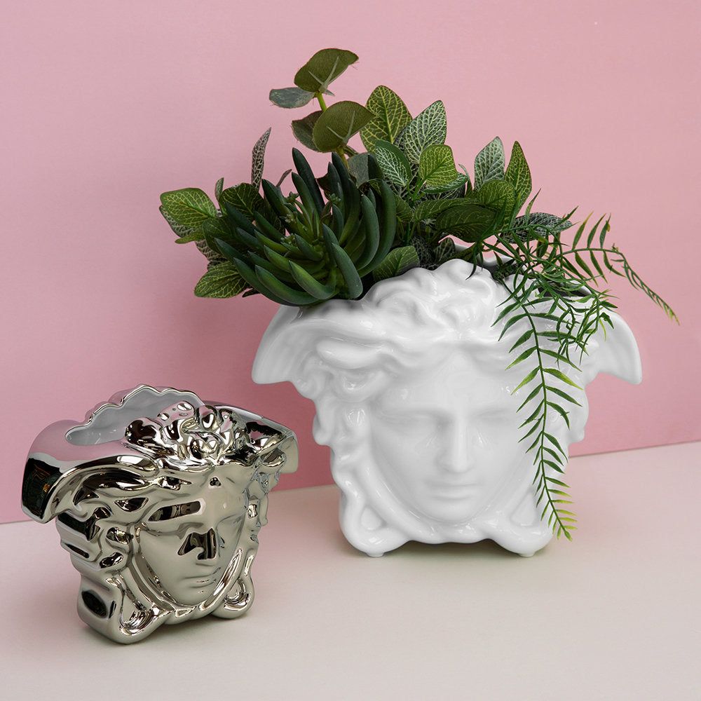 Medusa grande