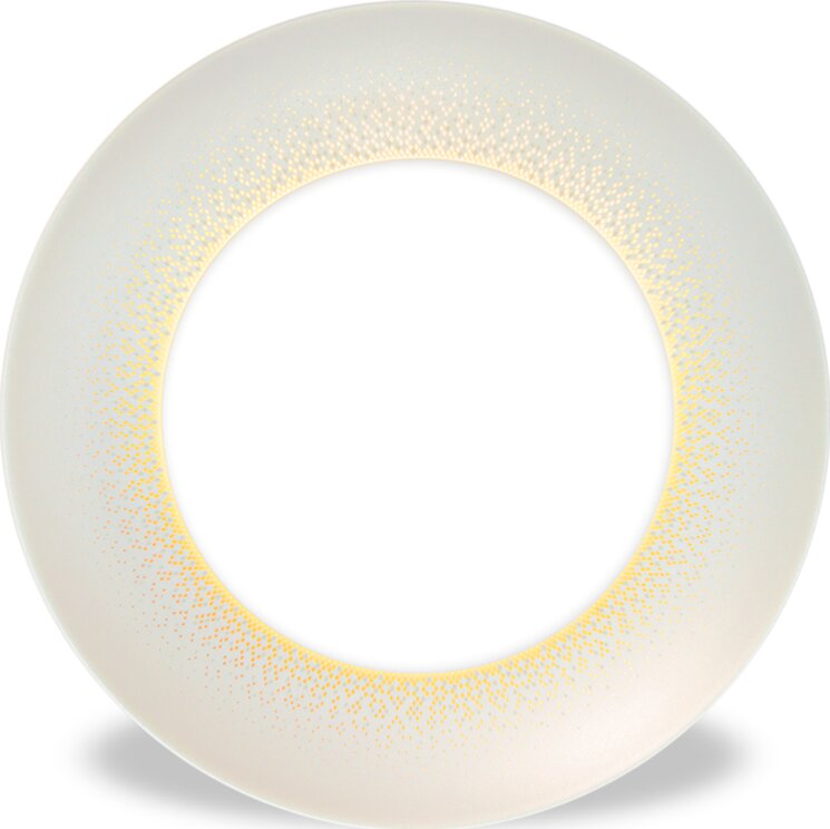 Haviland 1355-0022 Yemək boşqabı