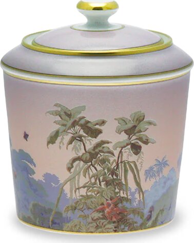Haviland 1855-0421