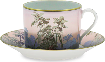 Haviland 1855-2234 Çay fincanı və nəlbəki