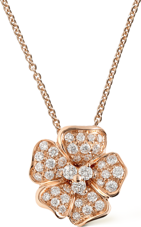 Leo pizzo 17159D1