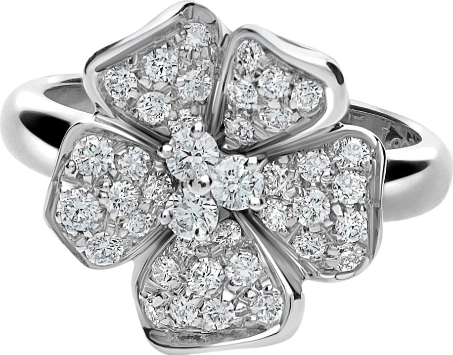 Leo pizzo 19994BM Ring