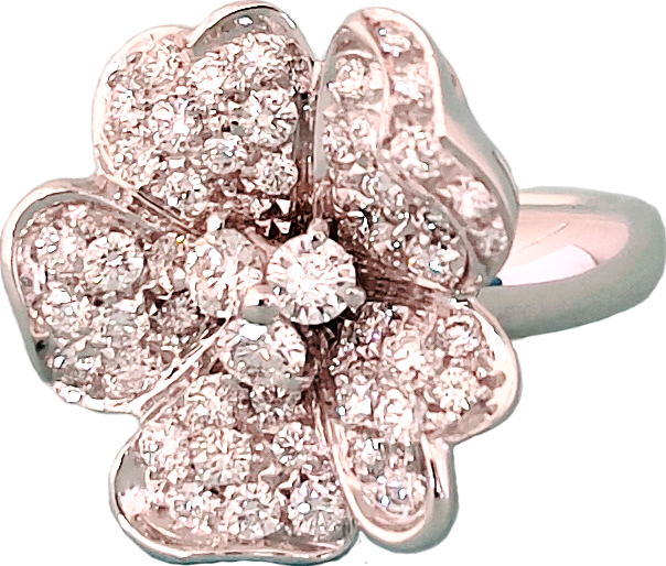 Leo pizzo 21790BM Ring