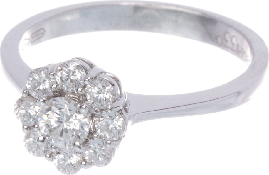 Leo pizzo 24083BPP