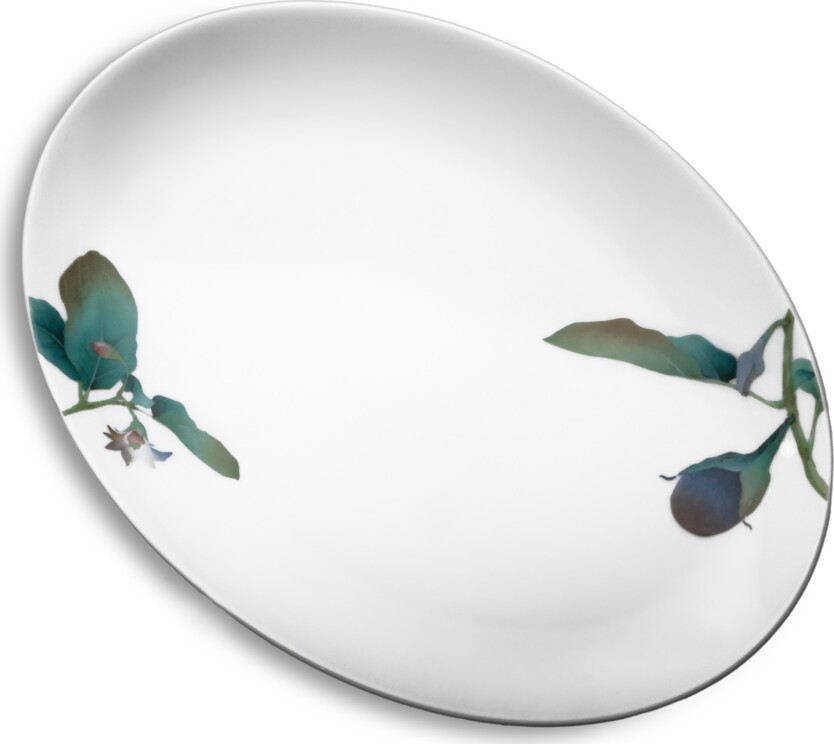 Noritake 1620_Q001CA05