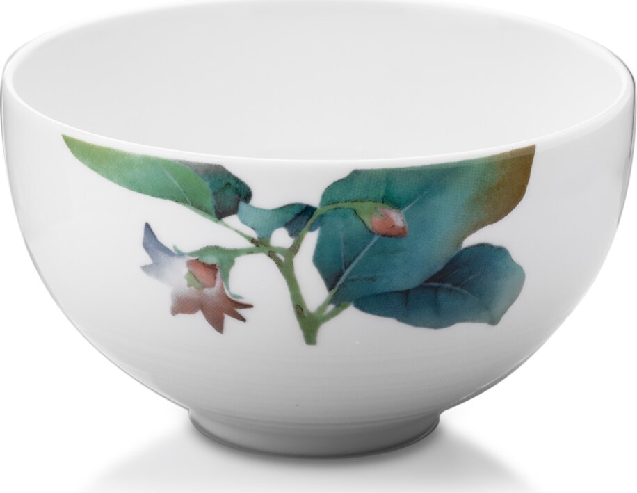 Noritake 1620_Q006WE17 Bowls