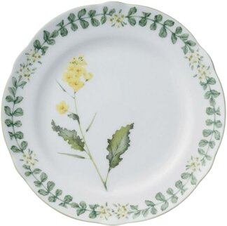 Noritake 4942L_97815 Desert boşqabı