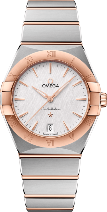 Omega 13120366002001