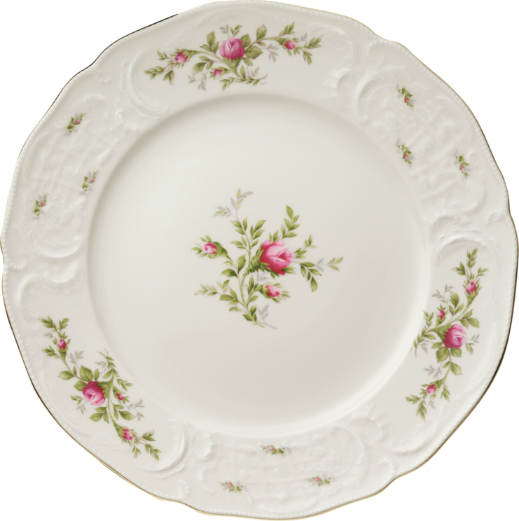 Rosenthal 20480-508563-10228