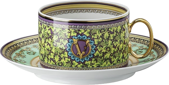 Versace 19335-403728-14640 Fincan