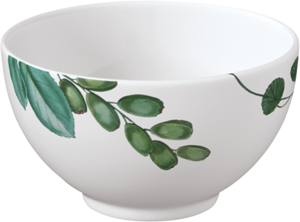 Villeroy & boch 4655-1905 Piyalə