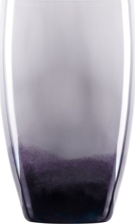 Zwiesel Glas 121589 Güldan